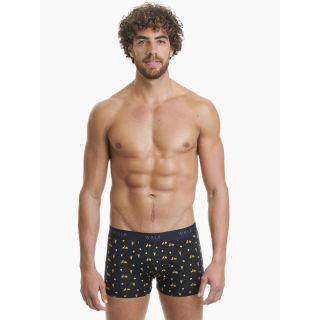 WALK BOXER ΑΠΟ ΦΥΣΙΚΟ BAMBOO ALL-PRINT - BOXER στο kalimeratzis.com 