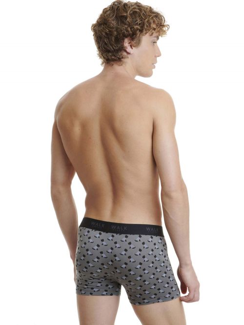 WALK BOXER ΑΠΟ ΦΥΣΙΚΟ BAMBOO ALL-PRINT - BOXER στο kalimeratzis.com 