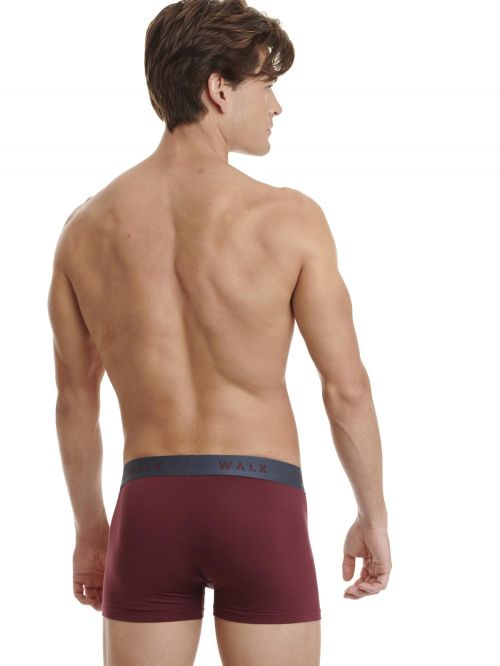 WALK BOXER 2 PACK ΑΠΟ ΦΥΣΙΚΟ BAMBOO - BOXER στο kalimeratzis.com 