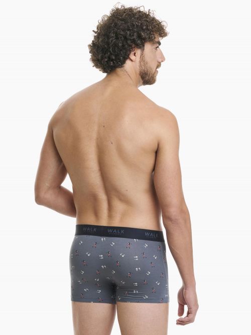 WALK BOXER ΑΠΟ ΦΥΣΙΚΟ BAMBOO ALL-PRINT - BOXER στο kalimeratzis.com 