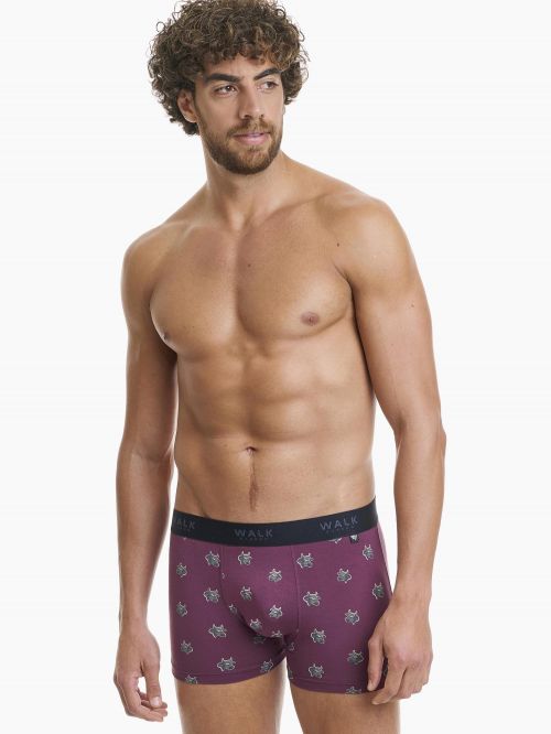 WALK BOXER ΑΠΟ ΦΥΣΙΚΟ BAMBOO ALL-PRINT - BOXER στο kalimeratzis.com 